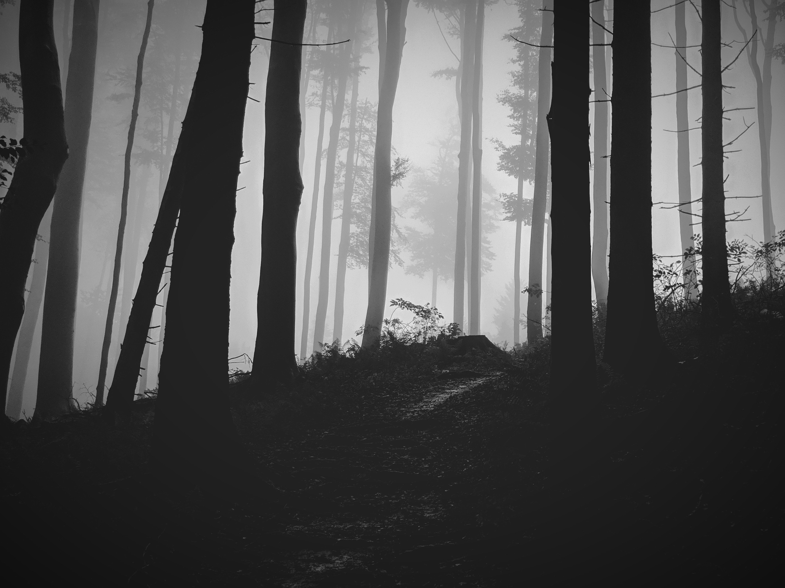The Dark Side of Seeking Discomfort